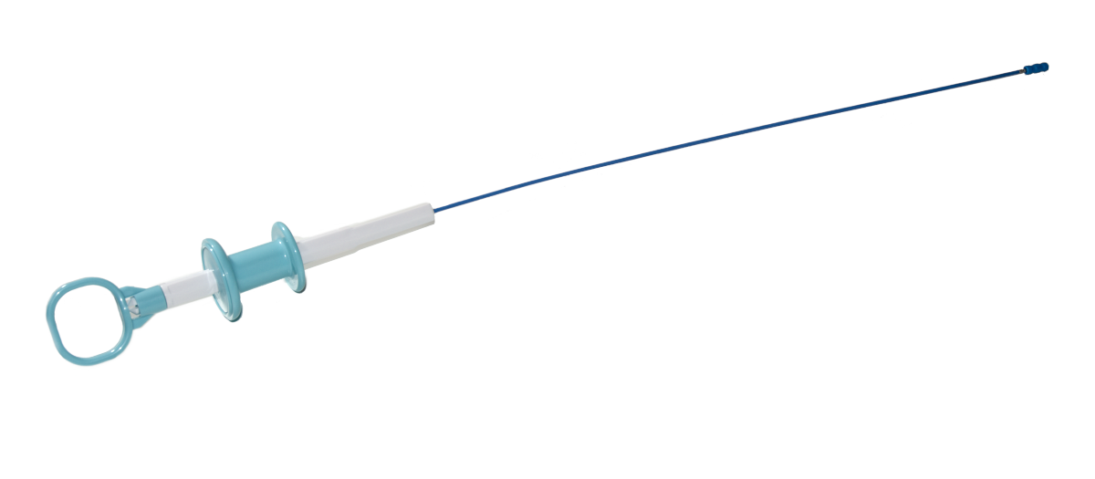 kleste